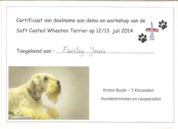 Workshop ‘Soft Coated Wheaten Terrier’