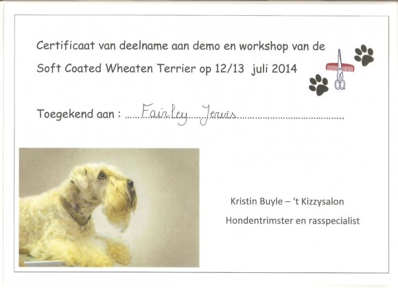 Workshop ‘Soft Coated Wheaten Terrier’